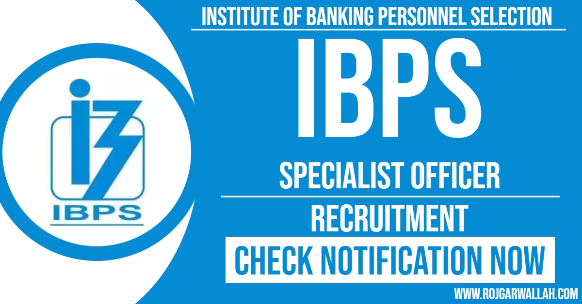 IBPS SO 2024 Notification Out | Last Date : 26/08/2024